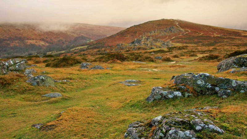 Dartmoor and Exmoor